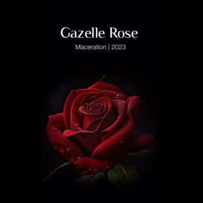 Gazelle Rose